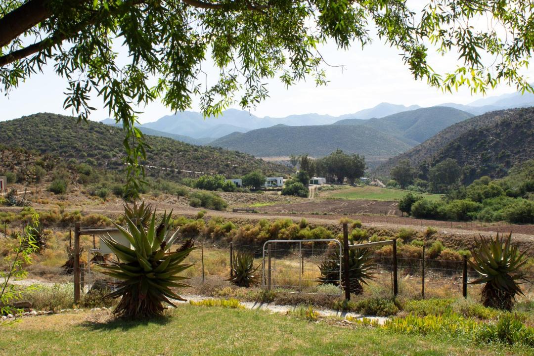 Photo of Others in Calitzdorp