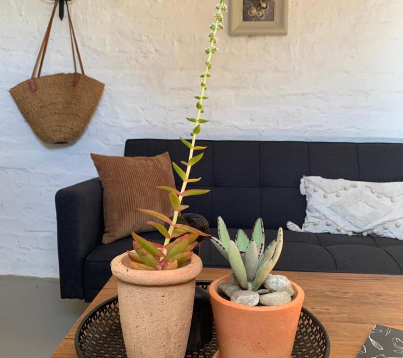 Photo of Others in Tulbagh