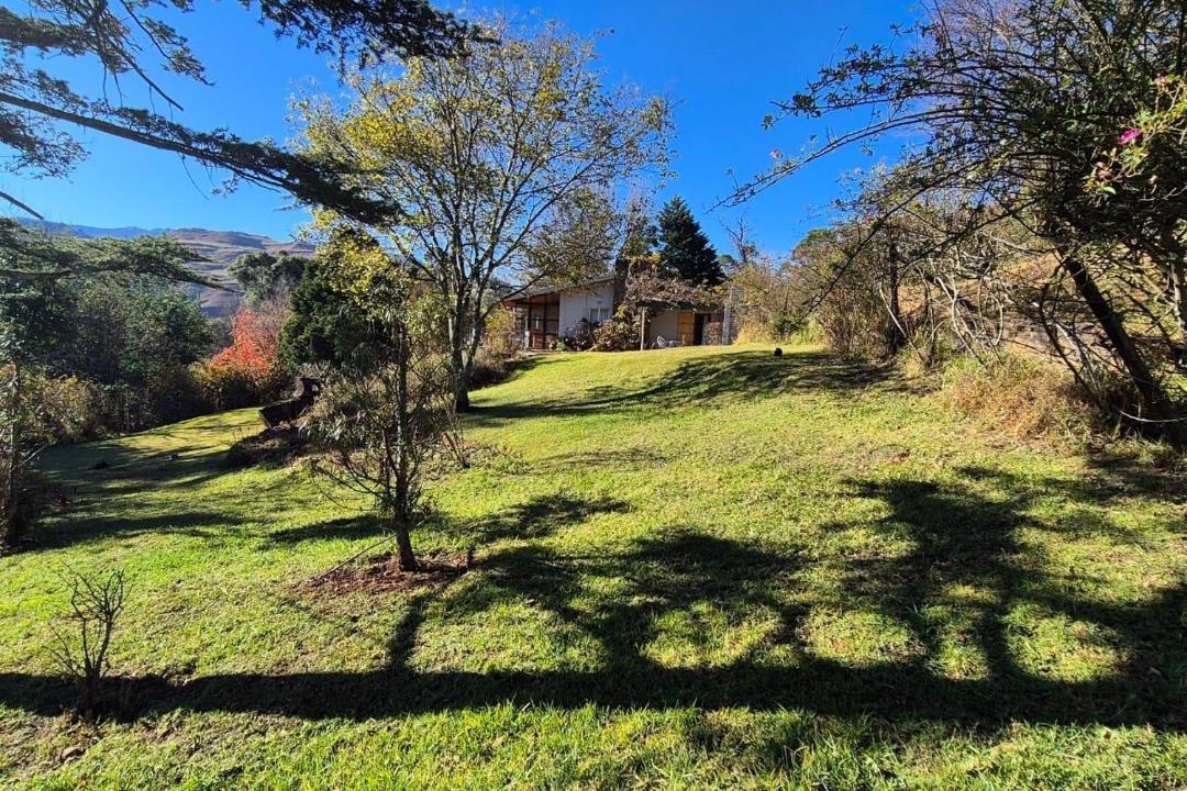 Photo of Others in Drakensberg Gardens