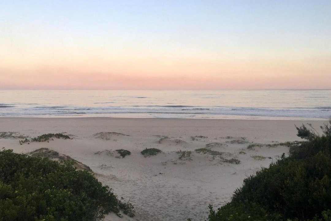 Photo of Others in Paradise Beach