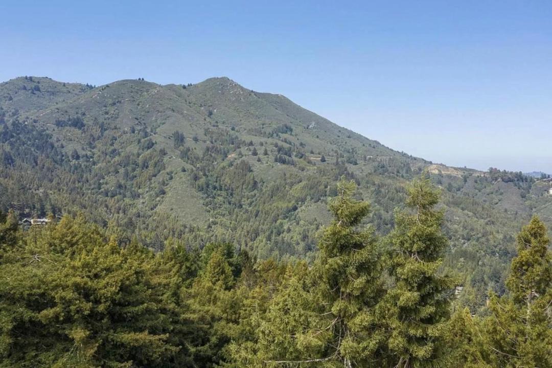 Photo of Others in Tamalpais-Homestead Valley