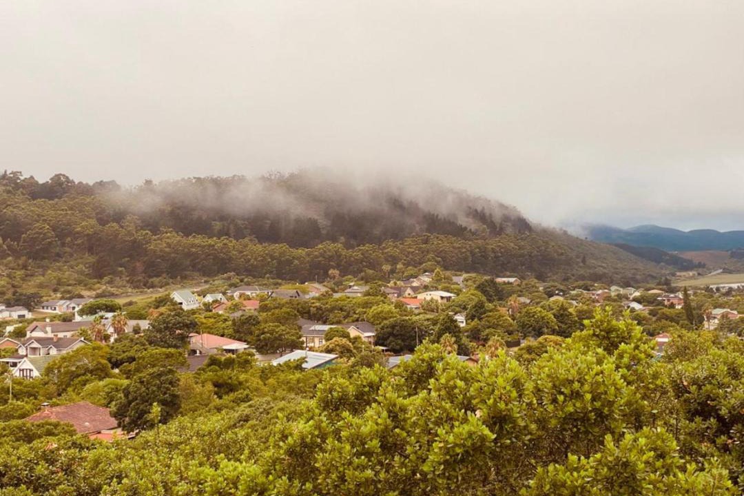 Photo of Others in Sedgefield