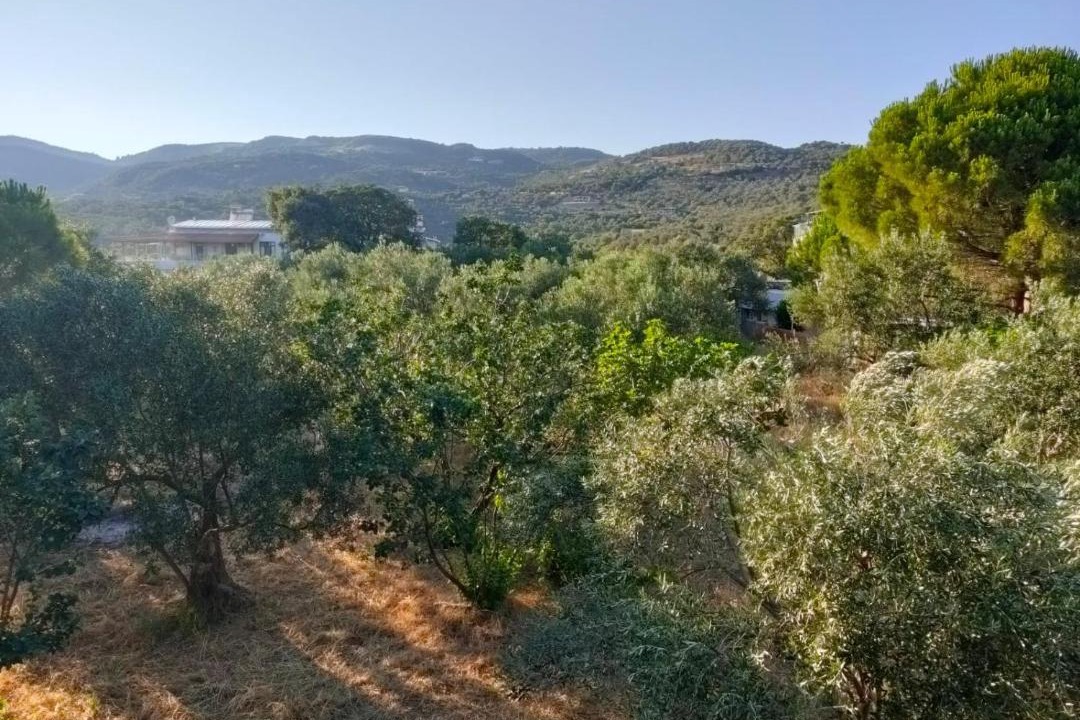 Photo of Others in Ayvacik