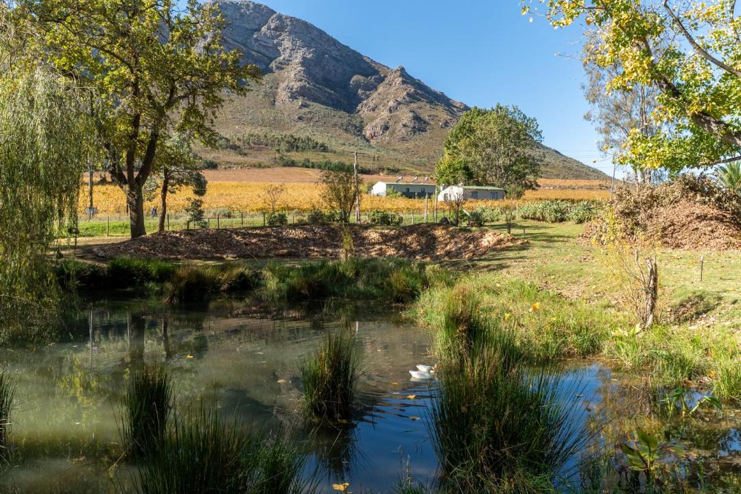 Photo of Others in Slanghoek
