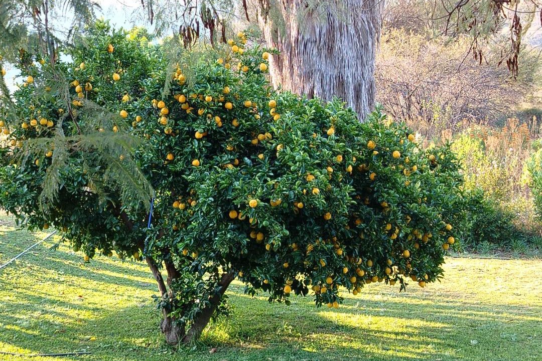 Photo of Outdoor in Vaalwater