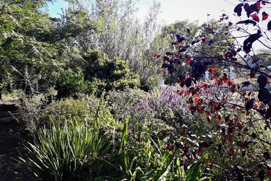 Photo of Others in Somerset East