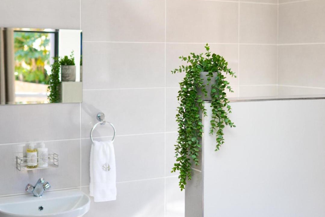 Photo of Bathroom in Modimolle