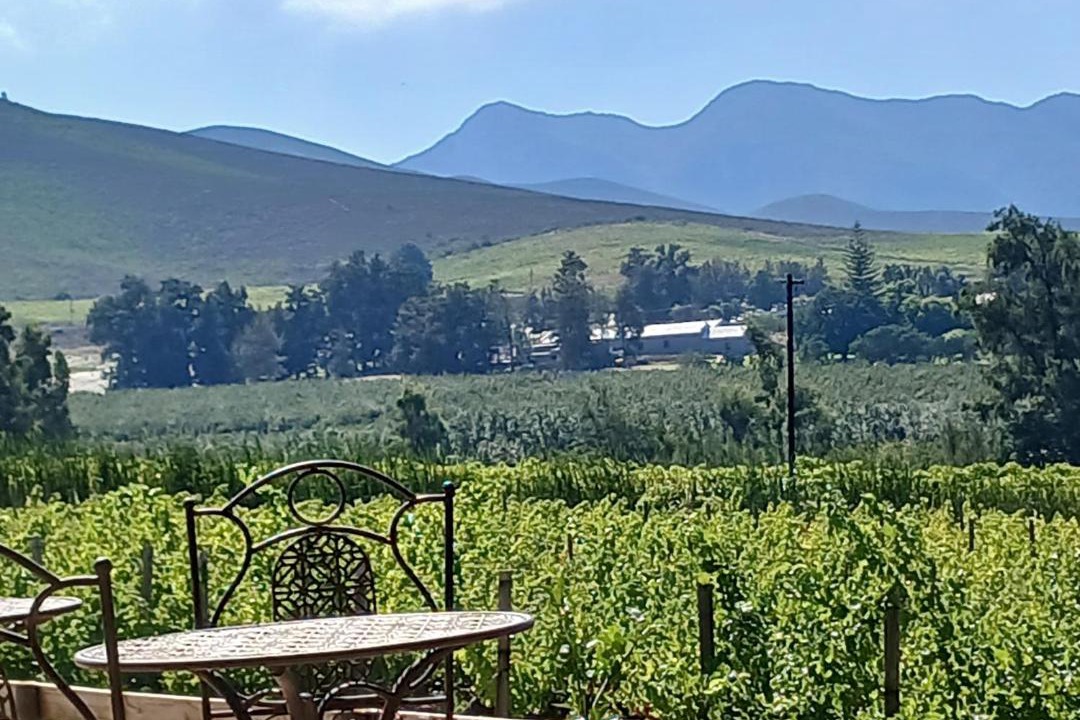 Photo of Others in Langeberg
