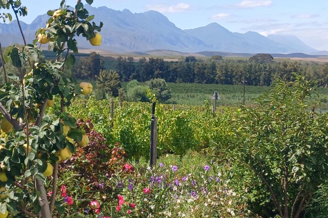 Photo of Others in Langeberg