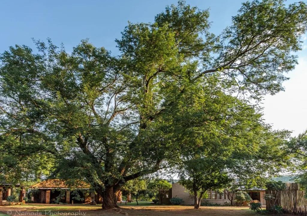 Photo of Others in Cullinan