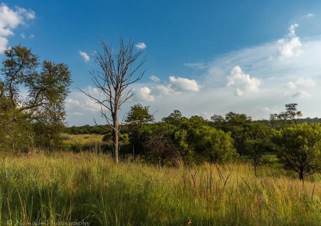 Photo of Others in Cullinan