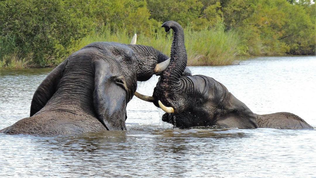 Photo of Others in Vaalwater