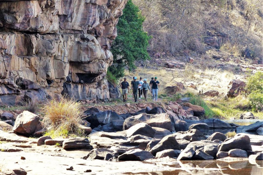 Photo of Others in Vaalwater