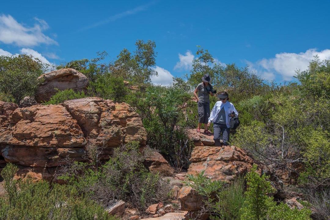 Photo of Others in Vaalwater