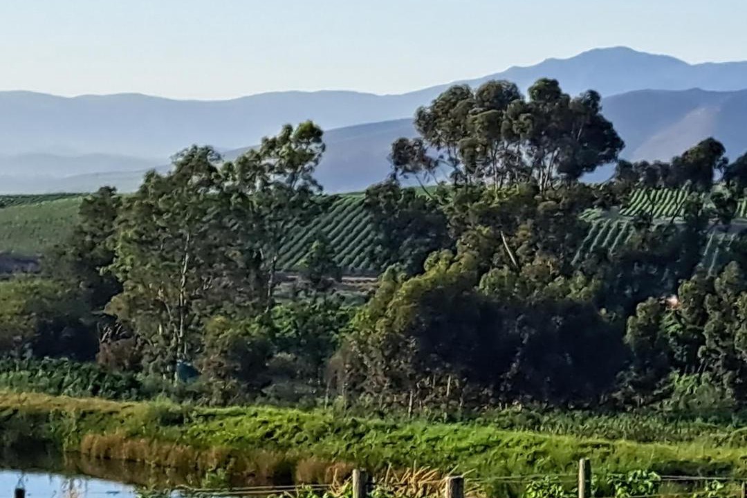 Photo of Others in Langeberg