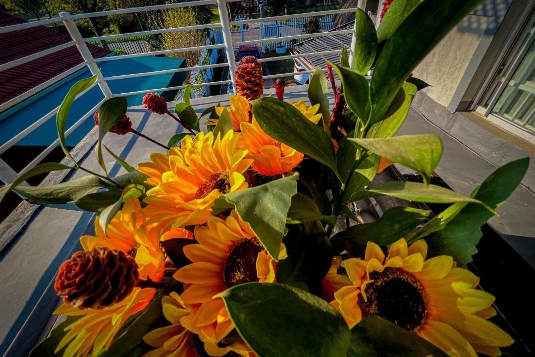 Photo of Patio Balcony in Boksburg