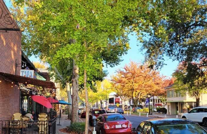 Photo of Others in Midtown Sacramento