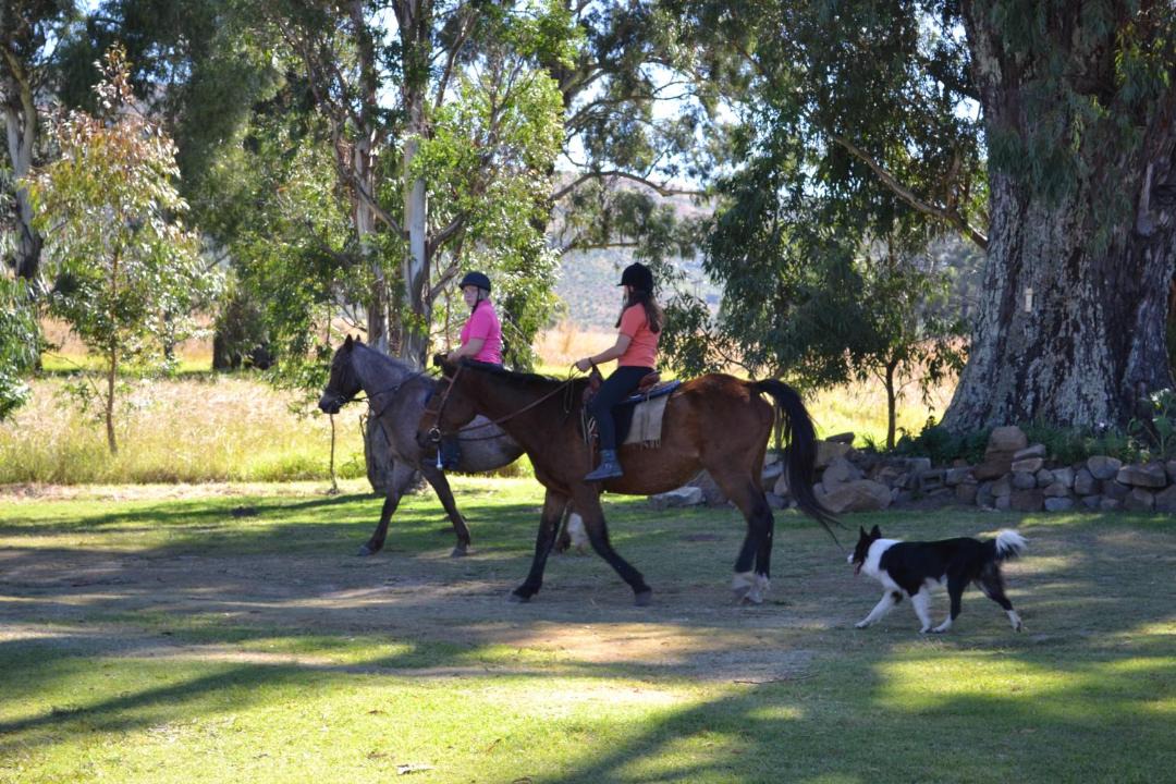 Photo of Others in Wakkerstroom