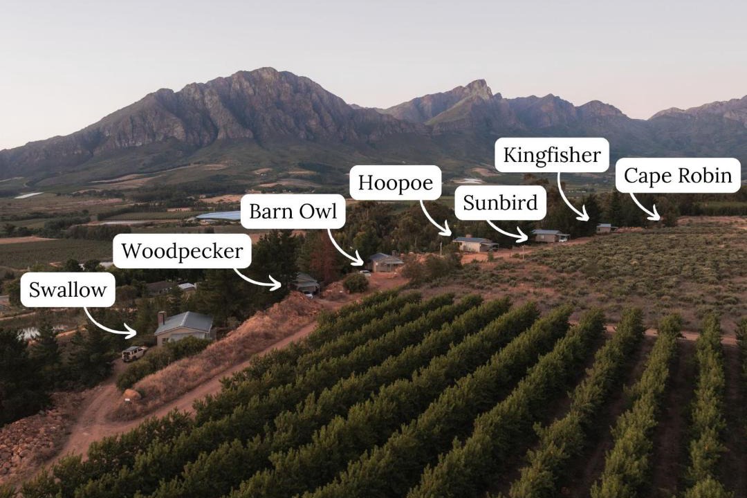 Photo of Others in Tulbagh