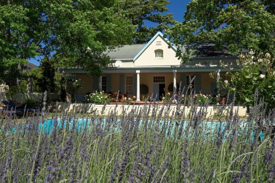 Photo of Others in Franschhoek