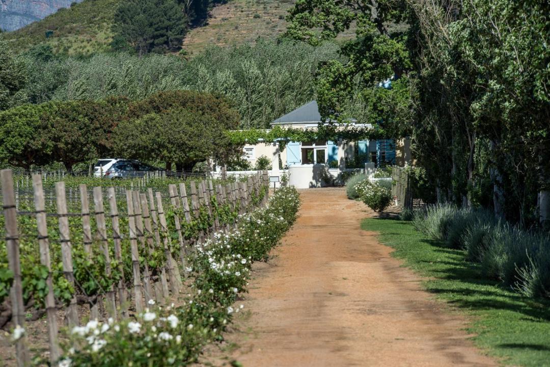 Photo of Others in Franschhoek
