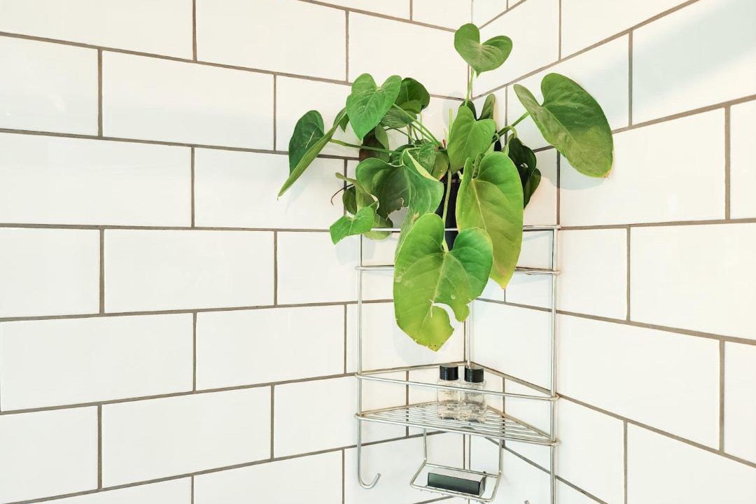 Photo of Bathroom in Lakeside