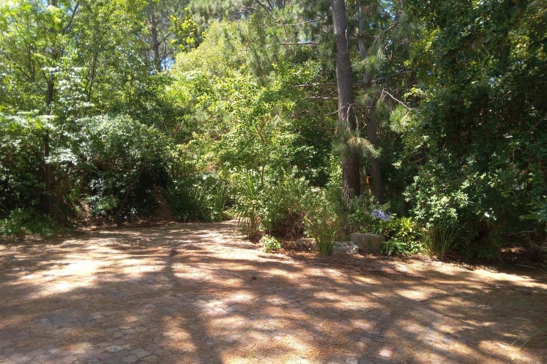 Photo of Outdoor in Hout Bay