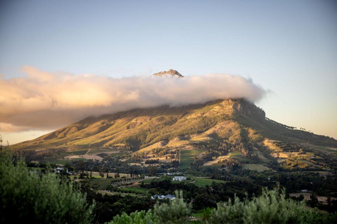 Photo of Others in Cape Winelands