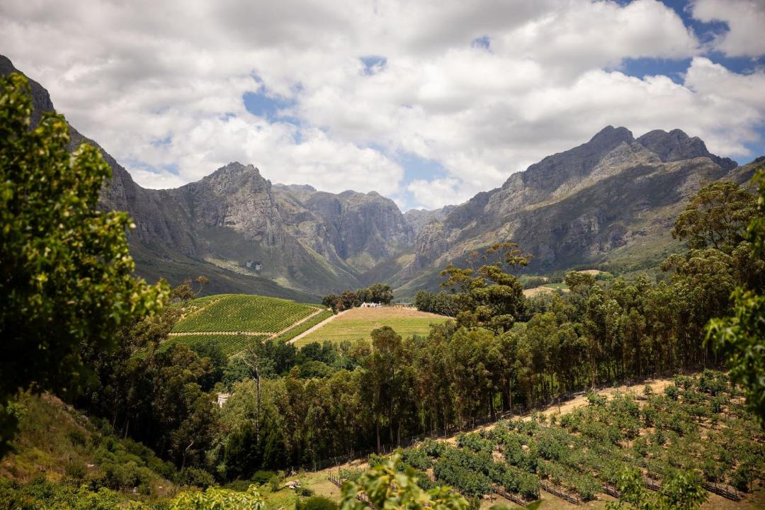 Photo of Others in Cape Winelands