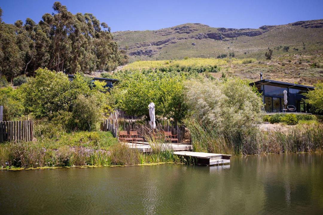 Photo of Others in Cape Winelands