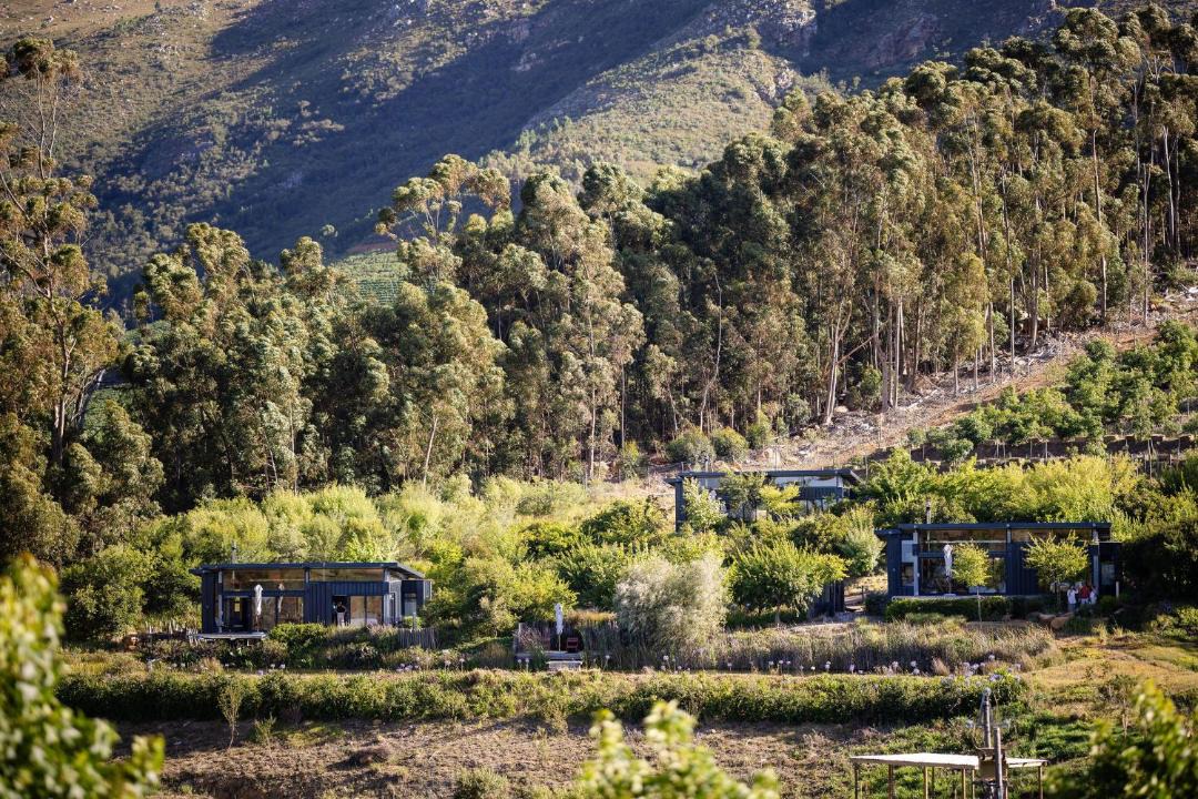 Photo of Others in Cape Winelands