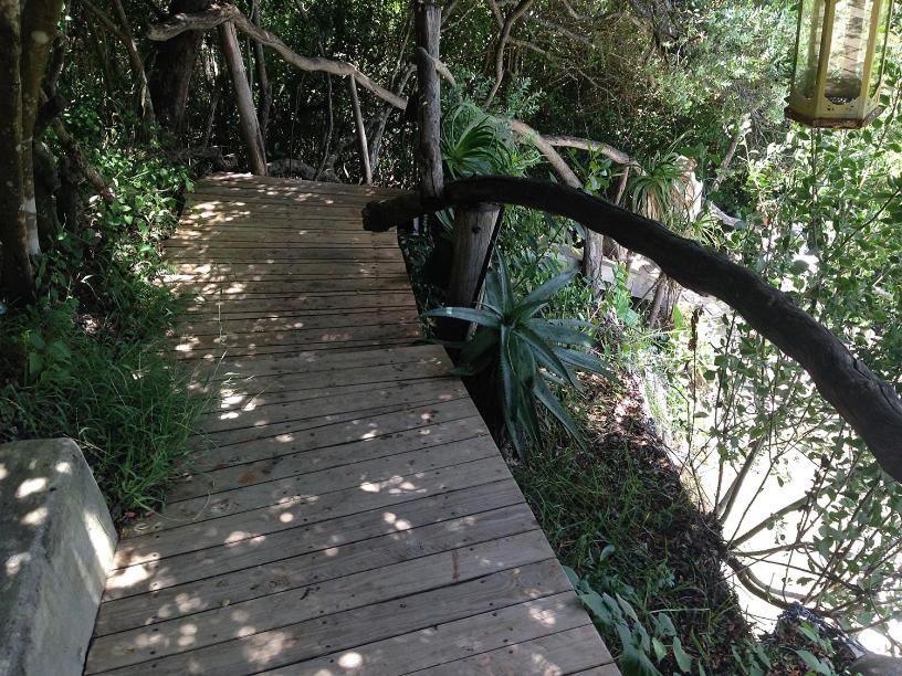 Photo of Others in Storms River