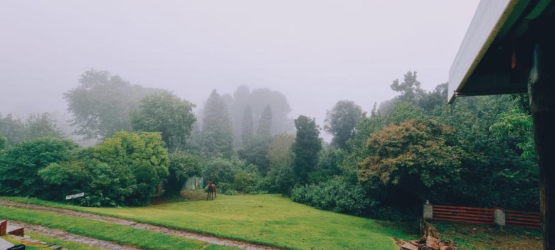 Photo of Others in Hogsback