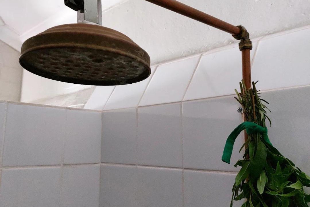 Photo of Bathroom in Howick