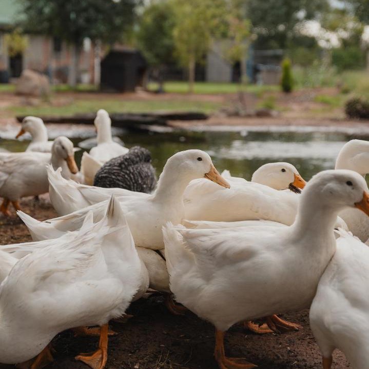 Photo of Others in Bloemfontein