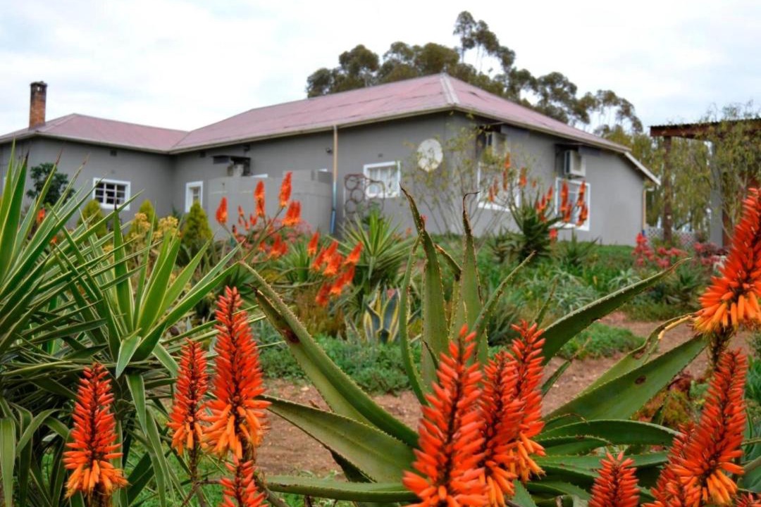 Photo of Others in Bergrivier