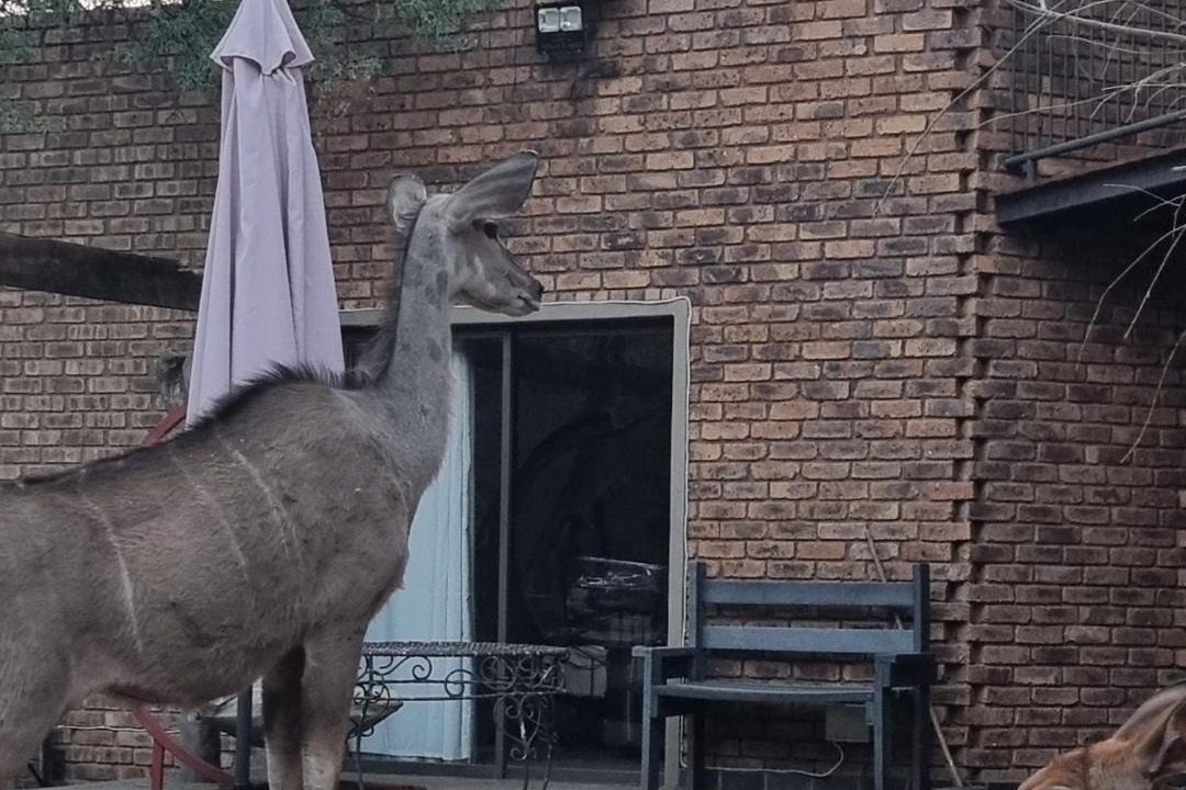 Photo of Others in Leeupoort