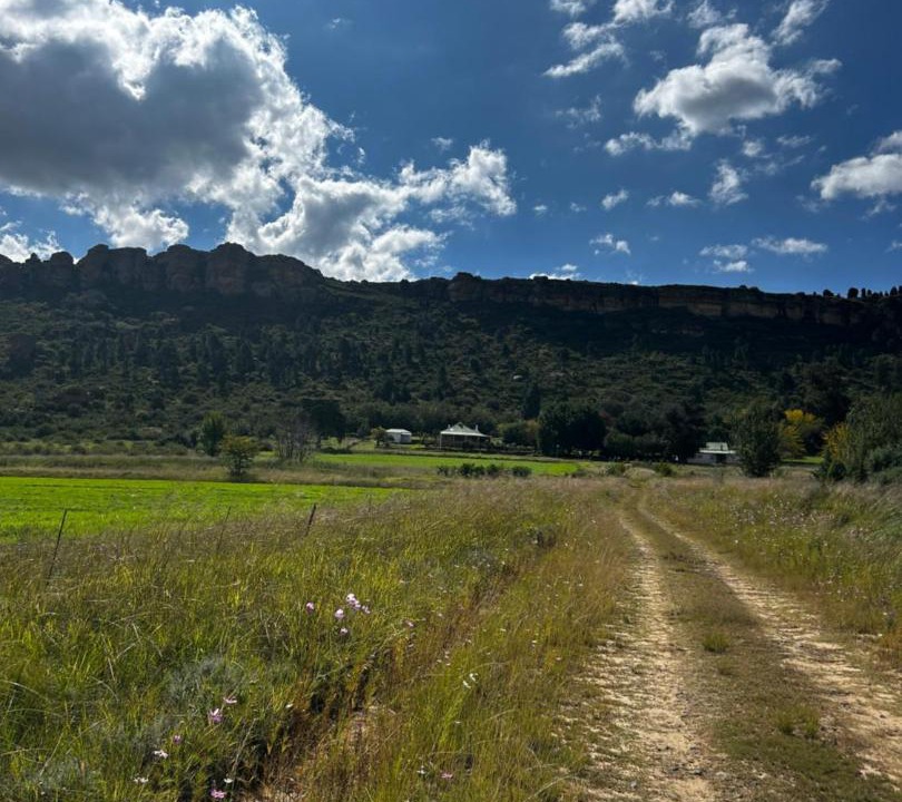 Photo of Others in Ficksburg