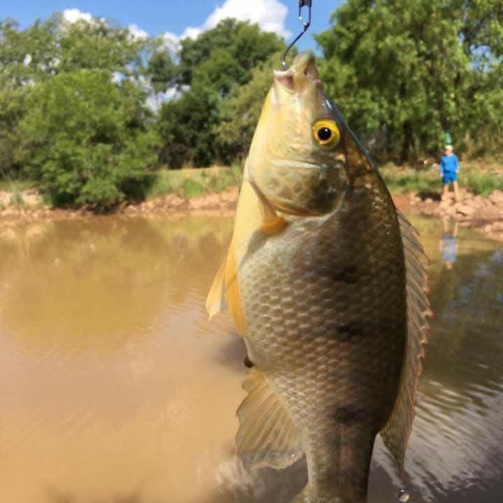 Photo of Others in Vaalwater