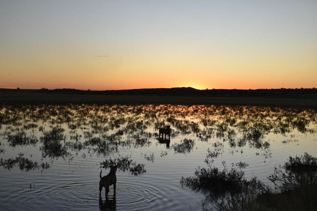 Photo of Others in Soutpan