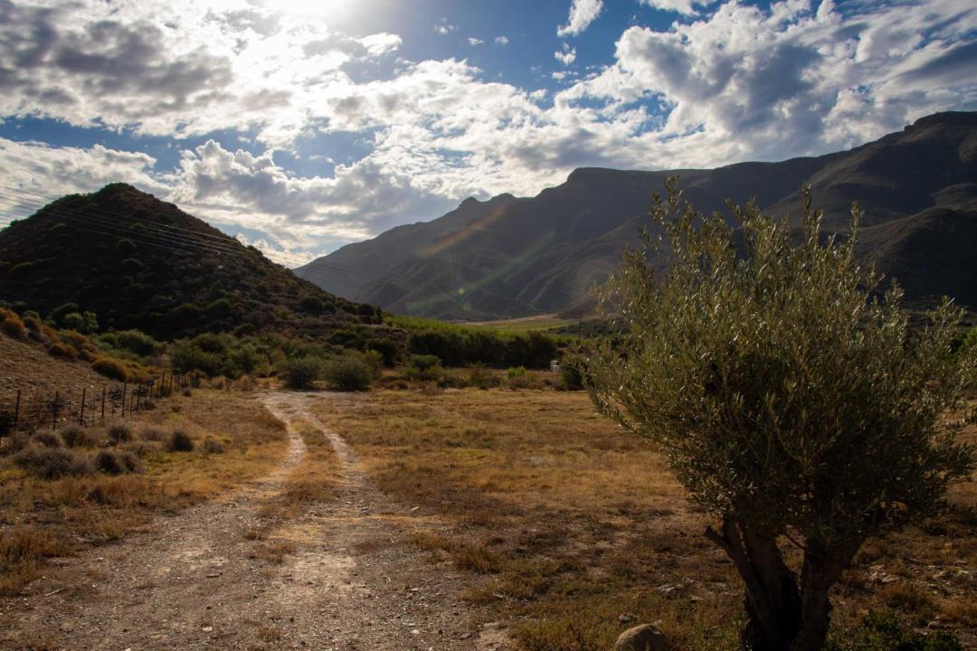 Photo of Others in Langeberg