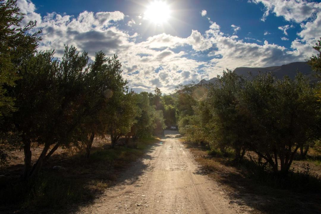 Photo of Others in Langeberg