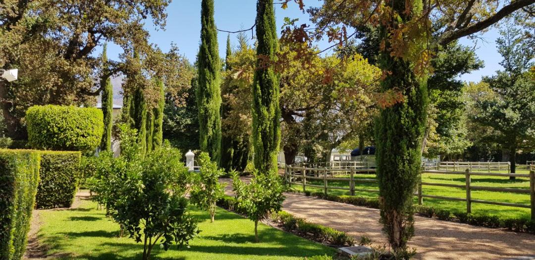 Photo of Others in Franschhoek