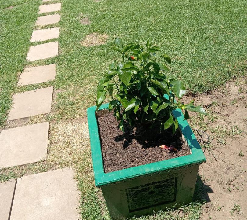Photo of Outdoor in Benoni