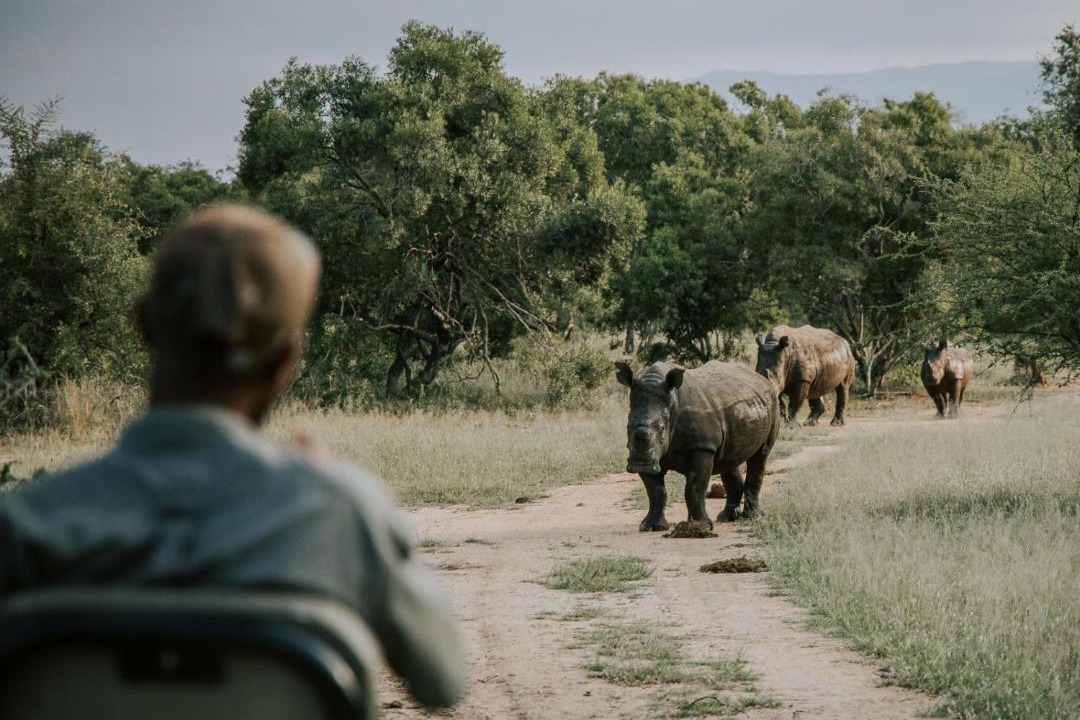 Photo of Others in Thorny Bush Game Reserve