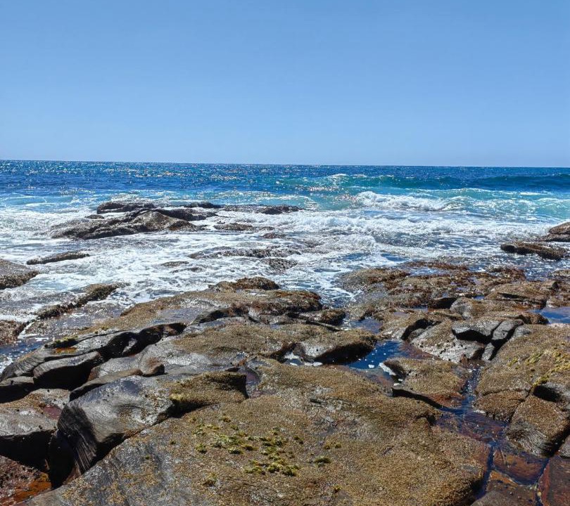 Photo of Others in Dana Bay