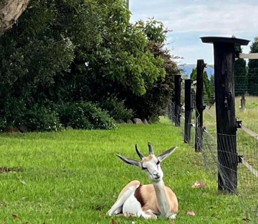 Photo of Others in Magaliesberg