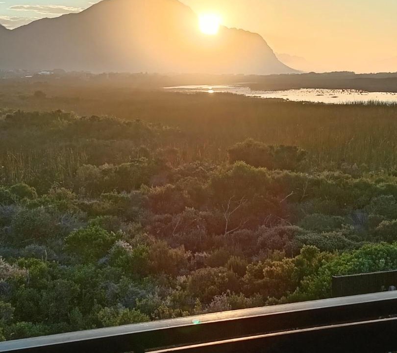 Photo of Others in Betty's Bay