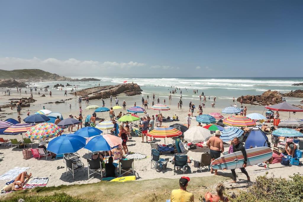 Photo of Others in Hermanus City-Centre