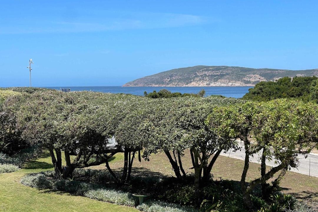 Photo of Others in Robberg Beach